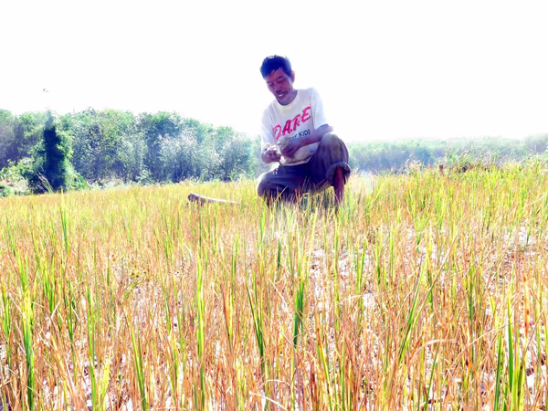 Trung Quốc xả nước, sau 14-19 ngày mới về Việt Nam ảnh 1 Trung Quốc xả nước, sau 14-19 ngày mới về Việt Nam ảnh 1