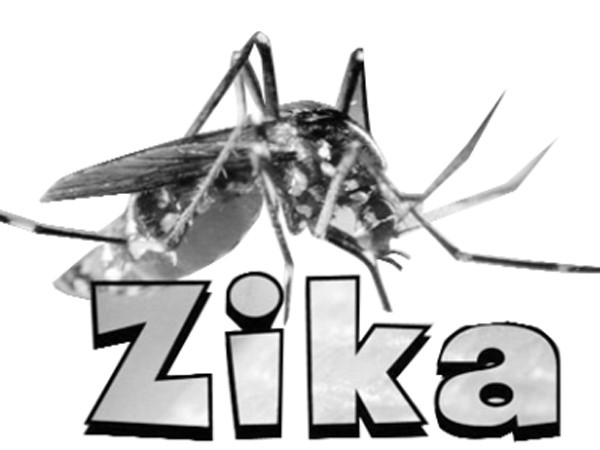 Dốc sức chăm "chiến binh" ức chế virus Zika ảnh 2 Dốc sức chăm "chiến binh" ức chế virus Zika ảnh 2