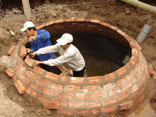 Vi phạm nghiêm trọng tại dự án nghìn tỷ của ngành chăn nuôi(1): Thiếu minh bạch, chi tiêu không đúng quy định ảnh 1