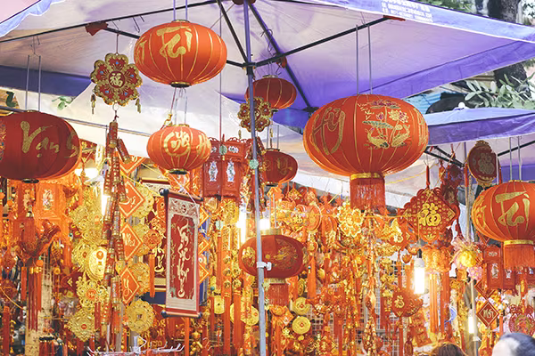 Một vòng chợ hoa Hàng Lược trước thềm Tết Đinh Dậu ảnh 10 Một vòng chợ hoa Hàng Lược trước thềm Tết Đinh Dậu ảnh 10