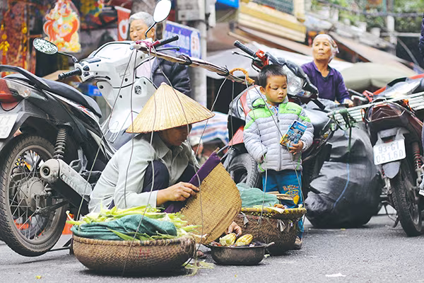 Một vòng chợ hoa Hàng Lược trước thềm Tết Đinh Dậu ảnh 15 Một vòng chợ hoa Hàng Lược trước thềm Tết Đinh Dậu ảnh 15