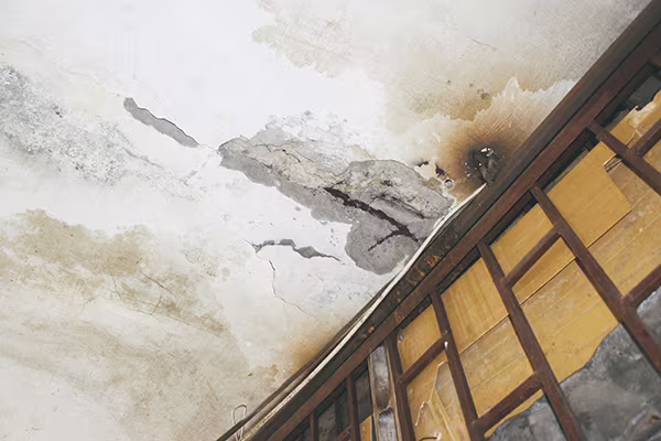 Đương đầu với tử thần ở những khu tập thể cũ Hà Nội ảnh 4 Đương đầu với tử thần ở những khu tập thể cũ Hà Nội ảnh 4