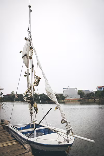 Những bức tranh được làm từ…rác đào ảnh 6