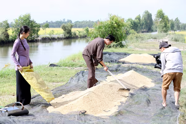 Ngỡ ngàng với hình ảnh "chân quê" của Hoa hậu Dương Kim Ánh ảnh 4 Ngỡ ngàng với hình ảnh "chân quê" của Hoa hậu Dương Kim Ánh ảnh 4