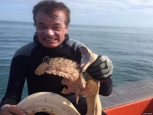 Cảnh khó gặp: Cá đá và rắn biển tử chiến với nhau ảnh 2 Cảnh khó gặp: Cá đá và rắn biển tử chiến với nhau ảnh 2