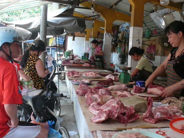 Loại dần chất cấm trong chăn nuôi ảnh 1 Loại dần chất cấm trong chăn nuôi ảnh 1