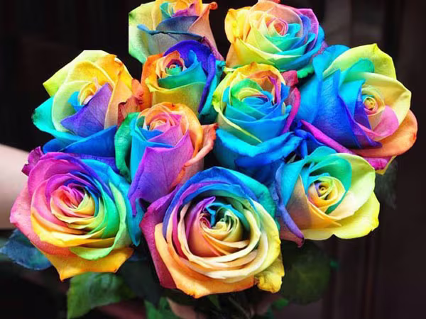 Những quà tặng độc đáo mùa Valentine 2015 ảnh 2 Những quà tặng độc đáo mùa Valentine 2015 ảnh 2