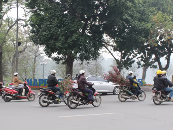 Phố phường Hà Nội "thay áo mới" đón Tết  ảnh 11