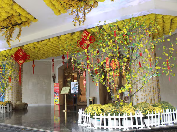 Phố phường Hà Nội "thay áo mới" đón Tết  ảnh 9