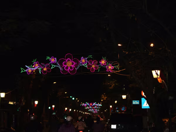 Phố phường Hà Nội "thay áo mới" đón Tết  ảnh 5