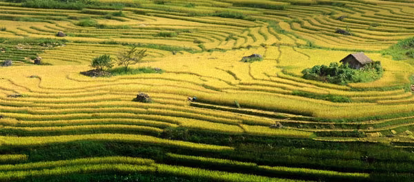 Cáp treo Fansipan: Điểm dừng chân hấp dẫn của du khách trẻ ảnh 3 Cáp treo Fansipan: Điểm dừng chân hấp dẫn của du khách trẻ ảnh 3