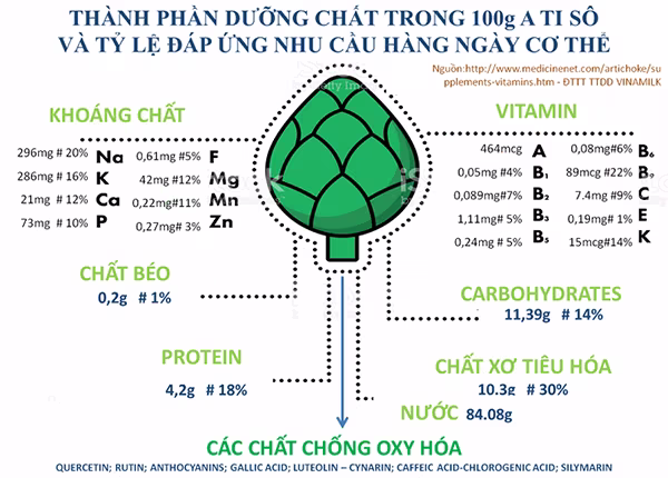 Atisô gắn liền với xu hướng sống xanh ảnh 2 Atisô gắn liền với xu hướng sống xanh ảnh 2