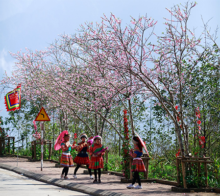 Khai hội xuân mở cổng trời Fansipan, du khách nô nức về chiêm bái xá lợi Phật trên đỉnh thiêng ảnh 12 Khai hội xuân mở cổng trời Fansipan, du khách nô nức về chiêm bái xá lợi Phật trên đỉnh thiêng ảnh 12