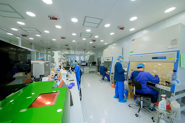 Vingroup cấp 1.100 học bổng du học toàn phần đào tạo Thạc sĩ, Tiến sĩ KHCN ảnh 4 Vingroup cấp 1.100 học bổng du học toàn phần đào tạo Thạc sĩ, Tiến sĩ KHCN ảnh 4