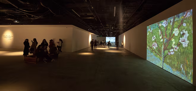 Vừa khai mạc, triển lãm Van Gogh đón hơn 10.000 lượt khách tham quan ảnh 8 Vừa khai mạc, triển lãm Van Gogh đón hơn 10.000 lượt khách tham quan ảnh 8