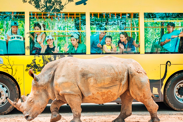 Tê giác con đầu tiên chào đời tại Vinpearl Safari Phú Quốc ảnh 5 Tê giác con đầu tiên chào đời tại Vinpearl Safari Phú Quốc ảnh 5