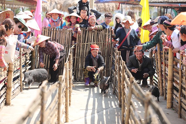 Quên lối về trong Lễ hội hoa đỗ quyên có một không hai tại Fansipan ảnh 8 Quên lối về trong Lễ hội hoa đỗ quyên có một không hai tại Fansipan ảnh 8