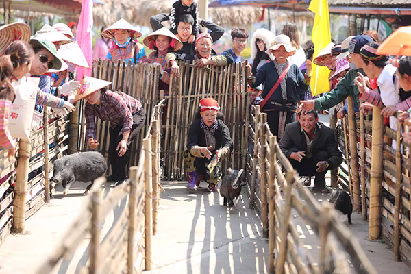 Quên lối về trong Lễ hội hoa đỗ quyên có một không hai tại Fansipan ảnh 8 Quên lối về trong Lễ hội hoa đỗ quyên có một không hai tại Fansipan ảnh 8