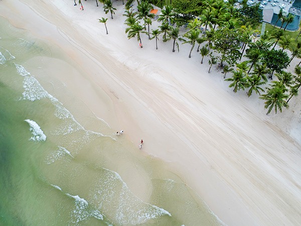 Đầu bếp người Ý Andrea Molinari bất ngờ được mời về Premier Residences Phu Quoc Emerald Bay ảnh 3 Đầu bếp người Ý Andrea Molinari bất ngờ được mời về Premier Residences Phu Quoc Emerald Bay ảnh 3