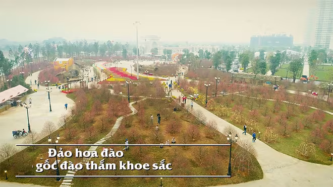 Những dấu ấn khó quên tại lễ hội hoa đào lớn nhất Việt Nam ảnh 2 Những dấu ấn khó quên tại lễ hội hoa đào lớn nhất Việt Nam ảnh 2