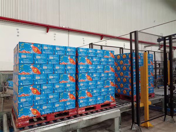 Trà Dr Thanh giúp tăng cường sức khỏe được sản xuất thế nào? ảnh 9 Trà Dr Thanh giúp tăng cường sức khỏe được sản xuất thế nào? ảnh 9