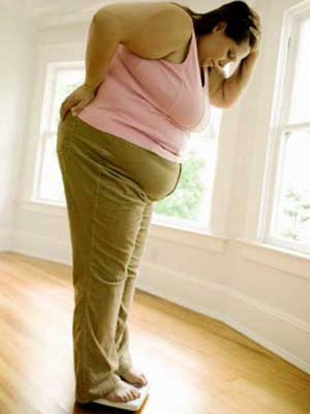 Phát hiện protein mới liên quan tới béo phì ảnh 1 Phát hiện protein mới liên quan tới béo phì ảnh 1