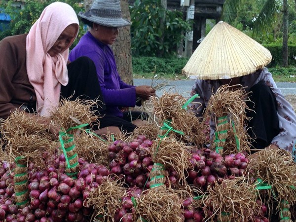 Cần trả nợ bà con nông dân một câu hỏi lớn ảnh 2 Cần trả nợ bà con nông dân một câu hỏi lớn ảnh 2