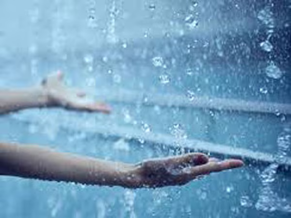 Nước mưa vô hại với sức khỏe ảnh 1 Nước mưa vô hại với sức khỏe ảnh 1