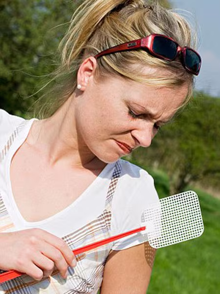 Người nhóm máu O dễ bị muỗi đốt ảnh 1 Người nhóm máu O dễ bị muỗi đốt ảnh 1