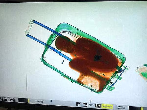 Tử vong vì chui vào valy để vượt biên ảnh 1