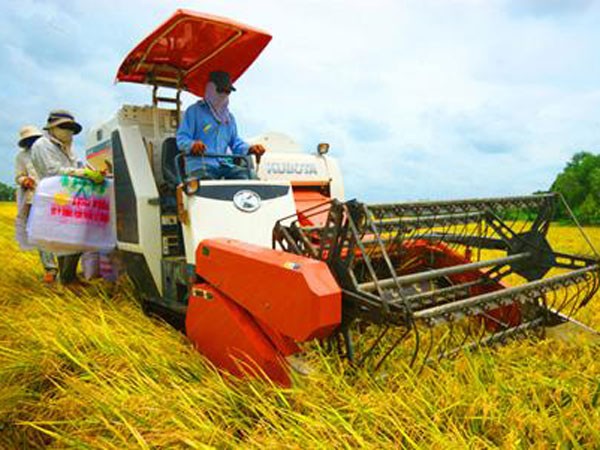 Giảm mạnh đói nghèo vùng nông thôn ảnh 1 Giảm mạnh đói nghèo vùng nông thôn ảnh 1