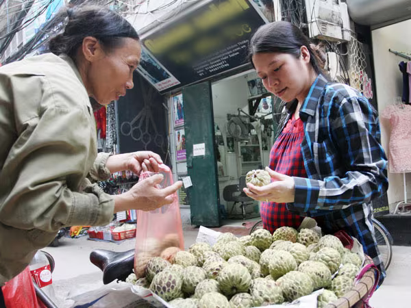 Rau, quả Việt Nam chiếm lĩnh thị trường nội địa ảnh 2 Rau, quả Việt Nam chiếm lĩnh thị trường nội địa ảnh 2
