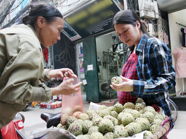 Rau, quả Việt Nam chiếm lĩnh thị trường nội địa ảnh 2 Rau, quả Việt Nam chiếm lĩnh thị trường nội địa ảnh 2