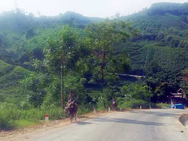 Vụ thảm sát 4 người tại Yên Bái: Người đàn bà thoát chết trở về ảnh 1 Vụ thảm sát 4 người tại Yên Bái: Người đàn bà thoát chết trở về ảnh 1