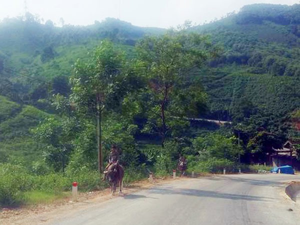 Vụ thảm sát 4 người tại Yên Bái: Người đàn bà thoát chết trở về ảnh 1 Vụ thảm sát 4 người tại Yên Bái: Người đàn bà thoát chết trở về ảnh 1
