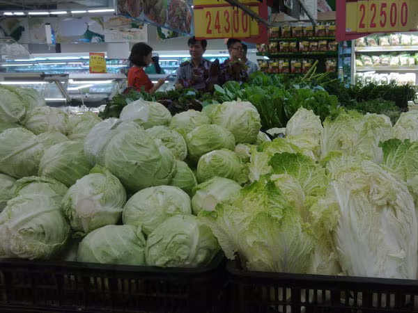 Cải bắp Trung Quốc ùn ùn vào nội địa ảnh 2 Cải bắp Trung Quốc ùn ùn vào nội địa ảnh 2