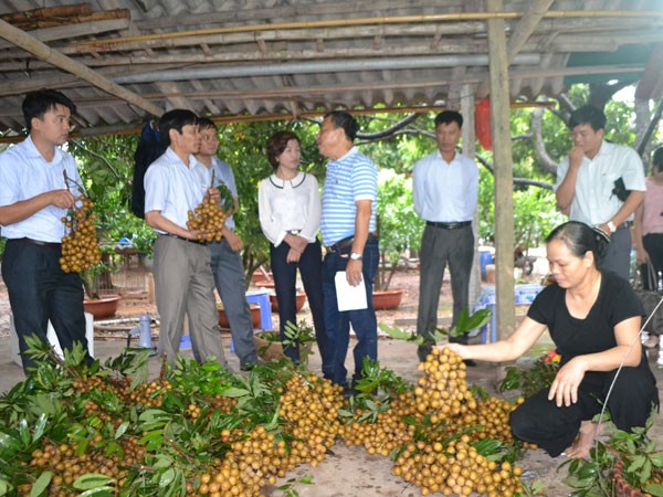 Nhãn muộn Hà Nội lên đường đi Mỹ ảnh 1 Nhãn muộn Hà Nội lên đường đi Mỹ ảnh 1
