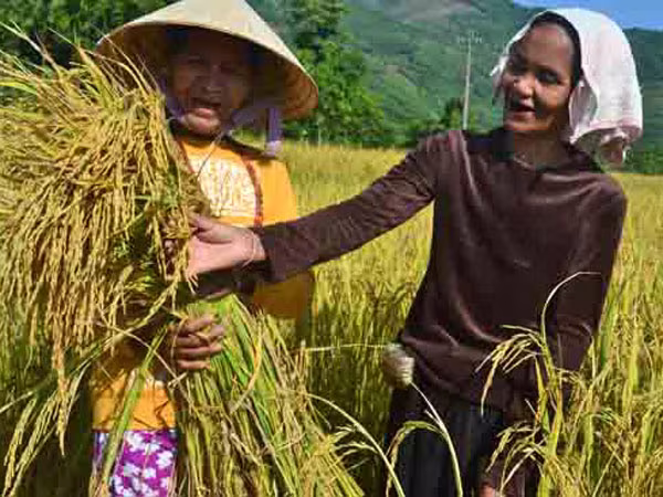 Tỷ lệ hộ nghèo dân tộc thiểu số giảm 3-4%/năm ảnh 1 Tỷ lệ hộ nghèo dân tộc thiểu số giảm 3-4%/năm ảnh 1