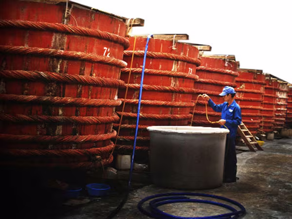Nhiều người tiêu chảy vì nước mắm rởm của ông trùm xứ Nghệ ảnh 1 Nhiều người tiêu chảy vì nước mắm rởm của ông trùm xứ Nghệ ảnh 1