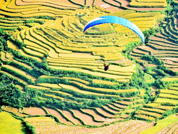 Bay trên những thửa ruộng bậc thang óng ả ảnh 1 Bay trên những thửa ruộng bậc thang óng ả ảnh 1