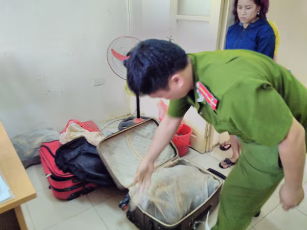 Rùa quý hiếm giấu trong va li ảnh 1 Rùa quý hiếm giấu trong va li ảnh 1