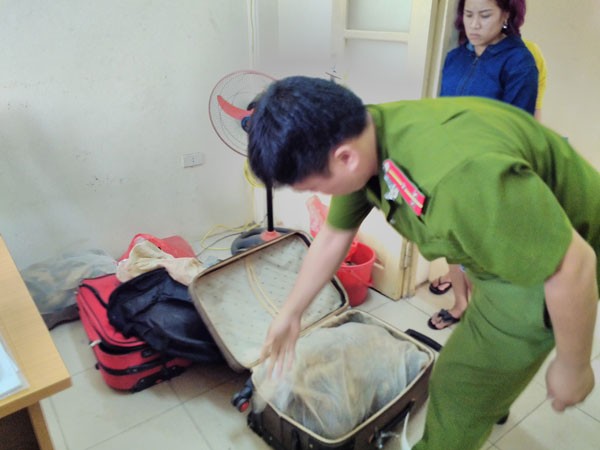 Rùa quý hiếm giấu trong va li ảnh 1 Rùa quý hiếm giấu trong va li ảnh 1