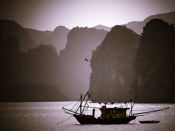 "Tâm hồn Việt Nam" của một nghệ sỹ Mỹ đa tài ảnh 1 "Tâm hồn Việt Nam" của một nghệ sỹ Mỹ đa tài ảnh 1
