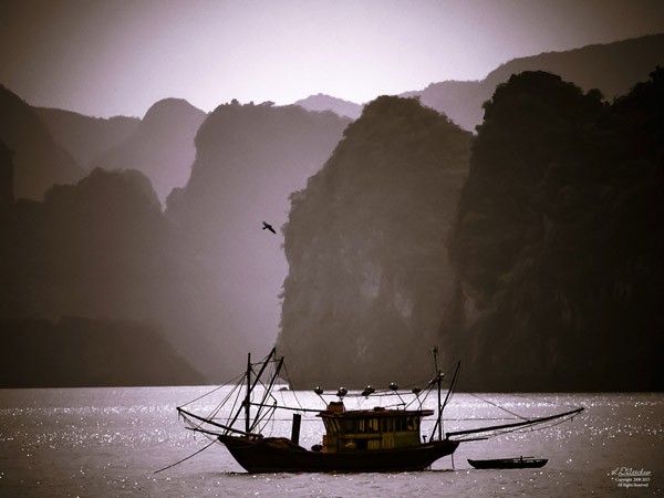 Người chạm đến "Tâm hồn Việt Nam" ảnh 1 Người chạm đến "Tâm hồn Việt Nam" ảnh 1