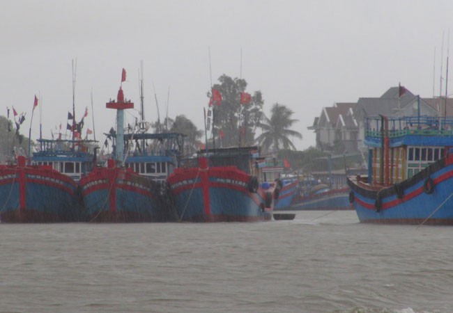 Một người mất tích trên biển do ảnh hưởng của bão ảnh 1 Một người mất tích trên biển do ảnh hưởng của bão ảnh 1