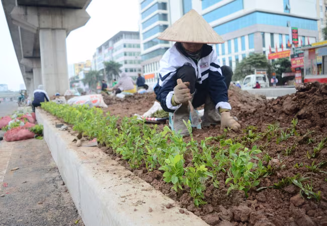 Hầm chui Thanh Xuân, Hà Nội: Công trình giao thông mở màn 2016 ảnh 6