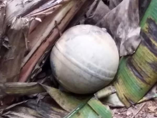 "Vật thể lạ" rơi tại Tuyên Quang và Yên Bái không phải thiên thạch ảnh 2 "Vật thể lạ" rơi tại Tuyên Quang và Yên Bái không phải thiên thạch ảnh 2
