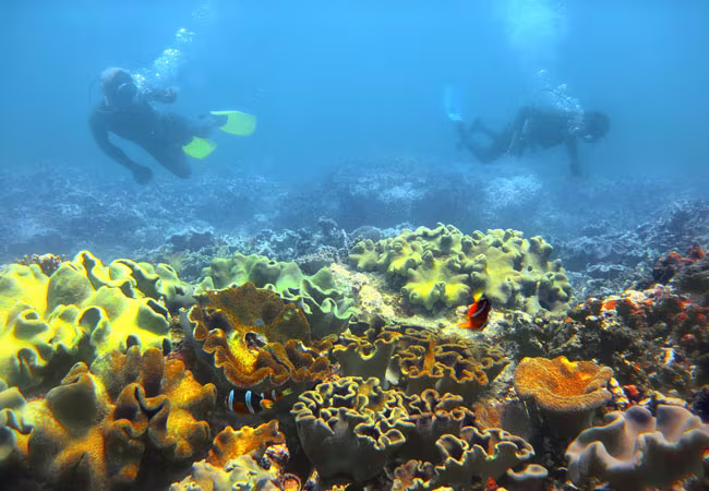 1.000 nhà nhiếp ảnh cùng "Khám phá Việt Nam" ảnh 1