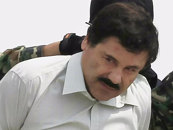 Mexico bắt lại trùm ma túy khét tiếng El Chapo ảnh 1 Mexico bắt lại trùm ma túy khét tiếng El Chapo ảnh 1