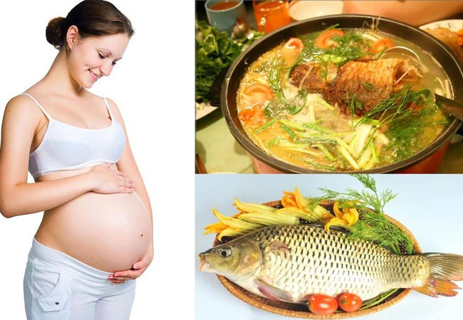 Mẹ ăn cá, tốt cho não của con ảnh 1 Mẹ ăn cá, tốt cho não của con ảnh 1